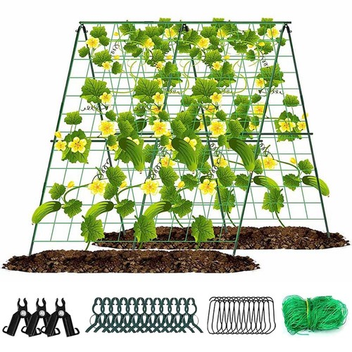 Outdoor garden trellis frame - outdoor,