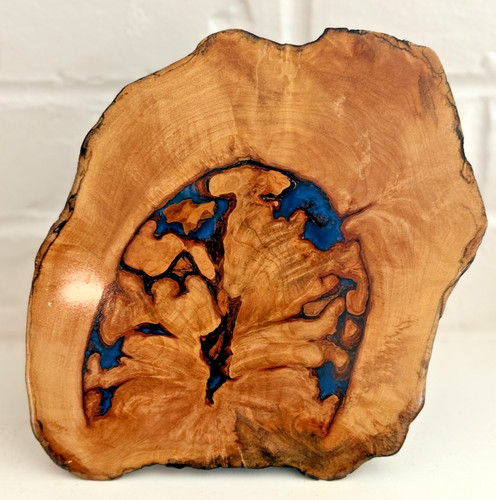 Handcrafted burl wood - burl, blue