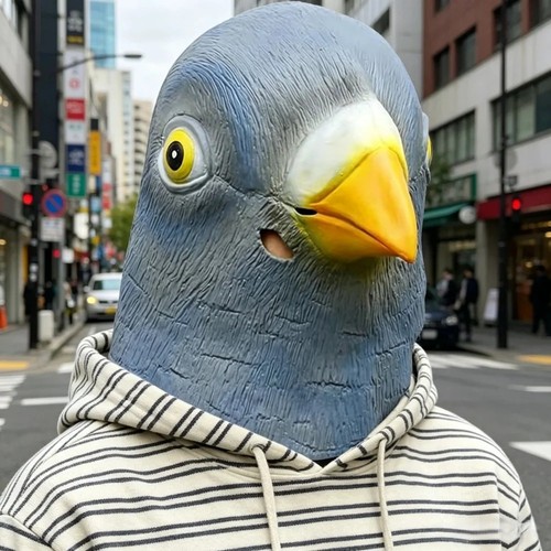 Funny pigeon bird head - funny,