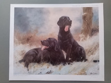 John Trickett 'Labradors' Black Labradors SIGNED LIMITED EDITION print UNFRAMED