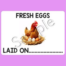 180 Egg Box Labels Custom Egg