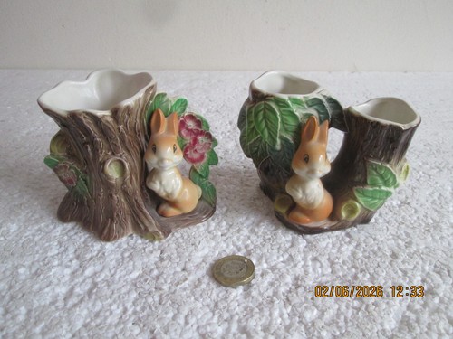 Hornsea pottery fauna - ,