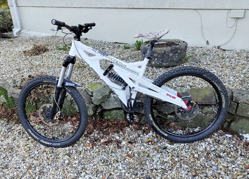 Marin quake downhill - quake,
