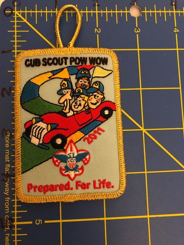 Cub scout pow - cub, wow