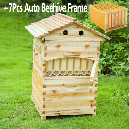 Beehive wooden beekeeping - beehive,