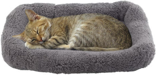 Cat bed kitten cosy - kitten,