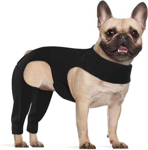 Recovery suit for - for, dogs,