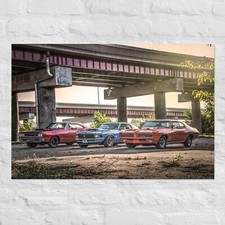 1969 Super Bee, 1970 Boss 429