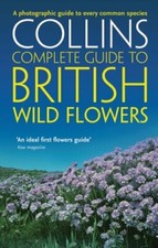 British Wild Flowers: A