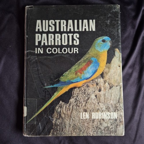 Australian parrots colour - in,