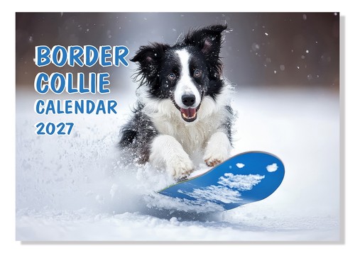 2027 border collie wall - collie,