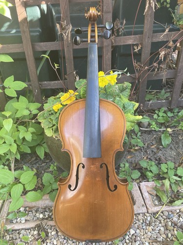 Nice old violin - violin, 1930