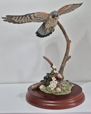 x15 bird Collection by Country Artists, Russell Willis and Views of Nature