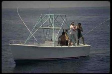 185043 Happy Anglers Show Freshly Caught White Marlin A4 Photo Print