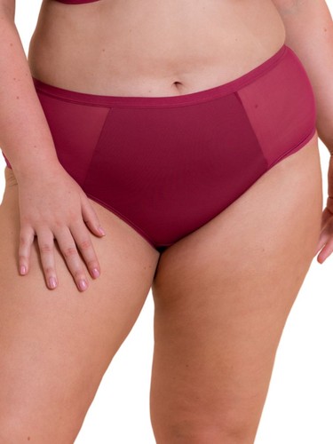Curvy kate briefs - curvy, short