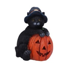 New  Trick or Treat Witch Black Cat Figurine  Nemesis Now 13cm