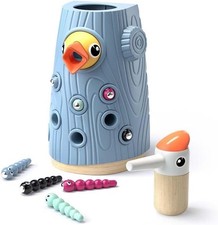 Topbright Woodpecker Feeding