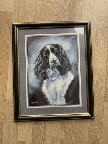 English springer spaniel 1998 - english,