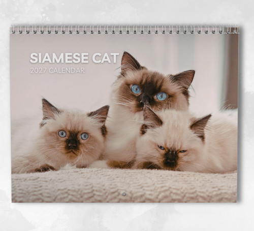 Siamese cat calendar - calendar, 2027
