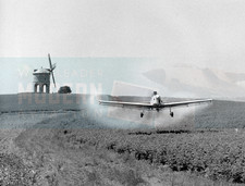 de Havilland Canada DHC-1 Chipmunk  - Original photo dated 8 July 1958