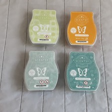 Wax melts scentsy job - wax, by