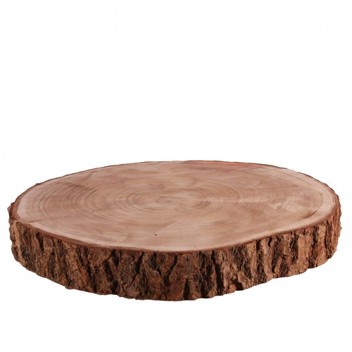 Wood slice craft - slice,
