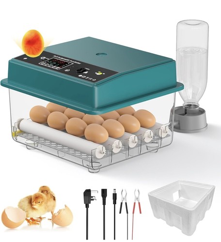 Automatic incubator - automatic, 16