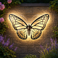 Butterfly Silhouette Solar