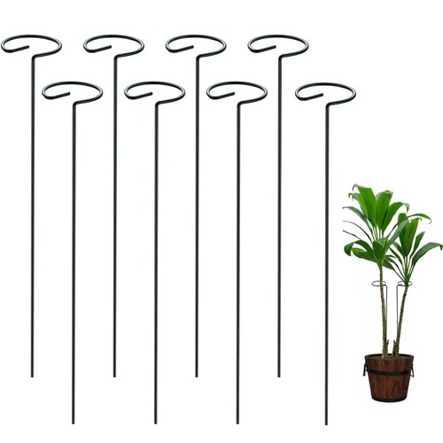 Orchid support stakes plant - support,