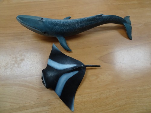 Schleich blue whale - blue, &