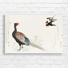 Vibrant Japanese Pheasant