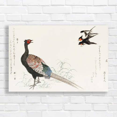 Vibrant japanese pheasant - vibrant,