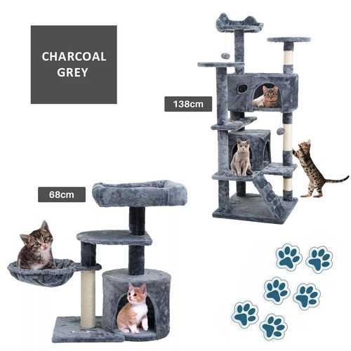 Cat tree activity - activity, centre
