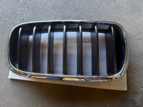 Genuine bmw f15 kidney - genuine, x5