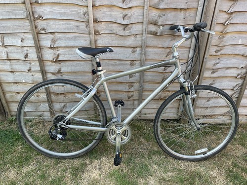 Large giant cypress dx - 20",