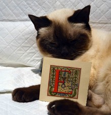 c1760 Georgian Illuminated Initial Letter  Hand  Painted- E 2  baby first name?