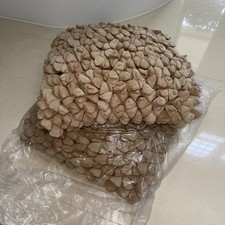 Dreamweavers Cushion 17 X 17