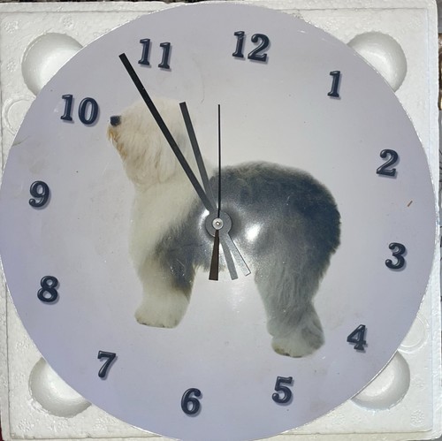 Charming old english sheepdog - charming,