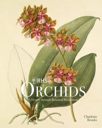 Rhs orchids history - rhs, through
