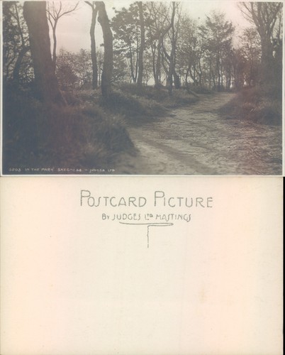 Pathway through trees - , park
