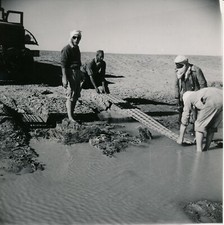 SAHARA c. 1950 - Desert