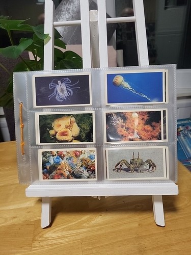 Grandee cigarette cigar cards - grandee,