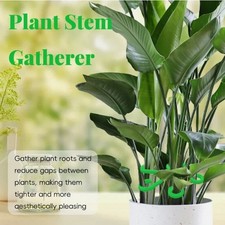 4-20pcs Plant Stem Support