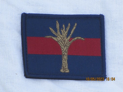 Welsh guards fabric badge with - welsh,