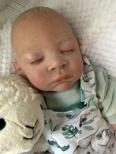 Reborn toddler baby boy from