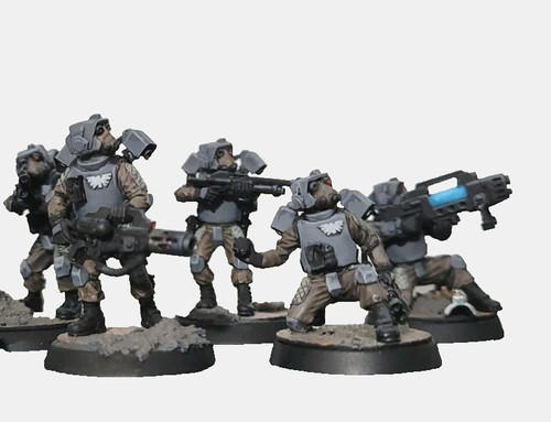 Pro painted 40k astra - 40k,