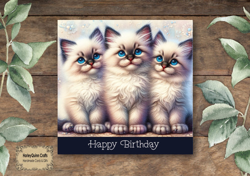 Cat 061 birthday - card, fluffy