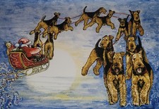 'Christmas Eve' Airedale