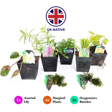 Native Pond Plant Kit Complete