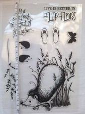 hedgehog and flip-flops